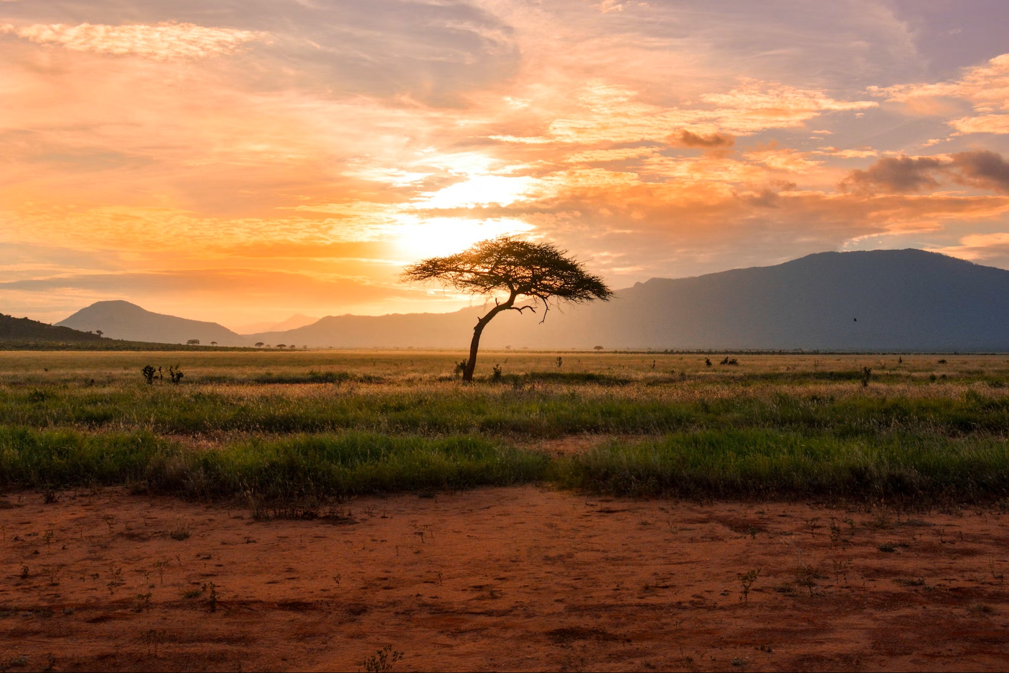 African sunset
